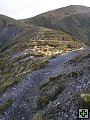 thn_Ruahine - Sunrise Hut 044.jpg
